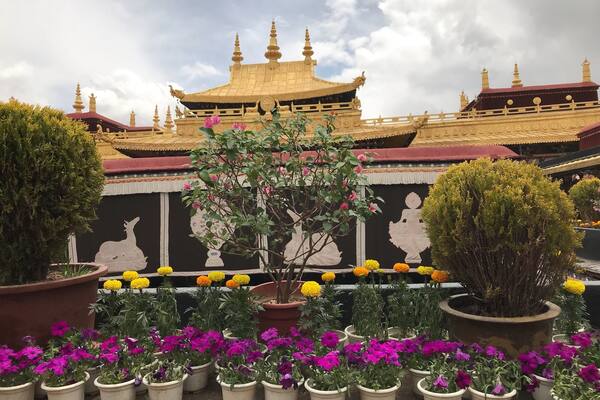 Sera Monastery is one of the "great three" Gelug university monasteries of Tibet, located 1.25 miles north of Lhasa and about 5 km north of the Jokhang. The other two are Ganden Monastery and Drepung Monastery.