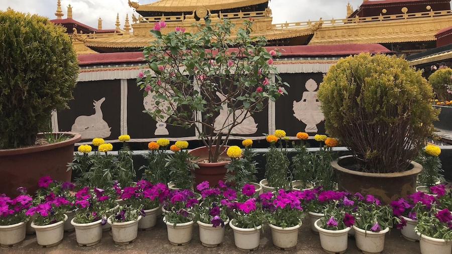 Sera Monastery is one of the "great three" Gelug university monasteries of Tibet, located 1.25 miles north of Lhasa and about 5 km north of the Jokhang. The other two are Ganden Monastery and Drepung Monastery.