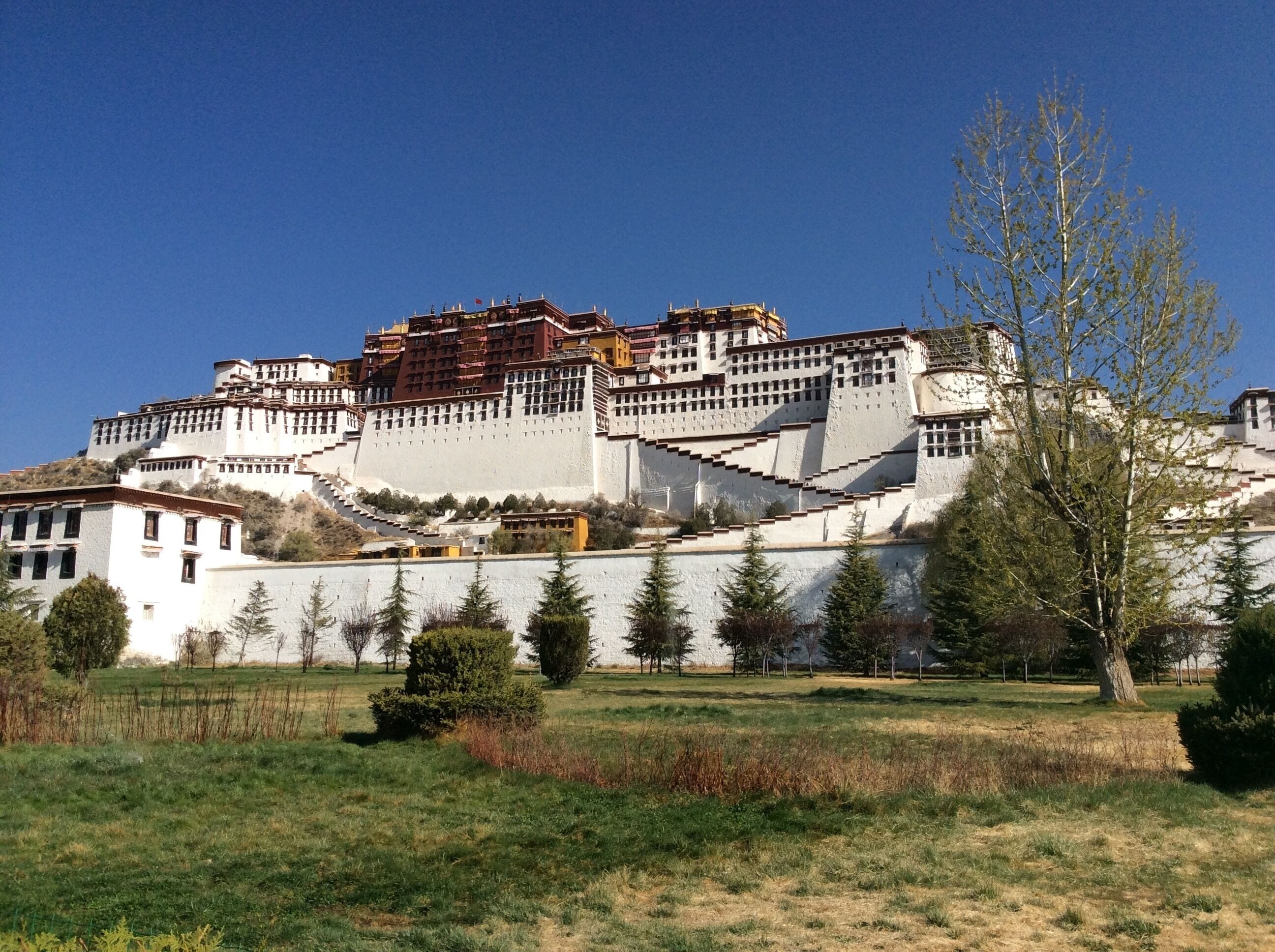 A beautiful palace minus the Dali llama. Many steps but very worth visiting