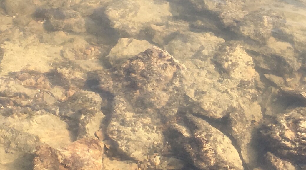 Clear water at Lake Clinton