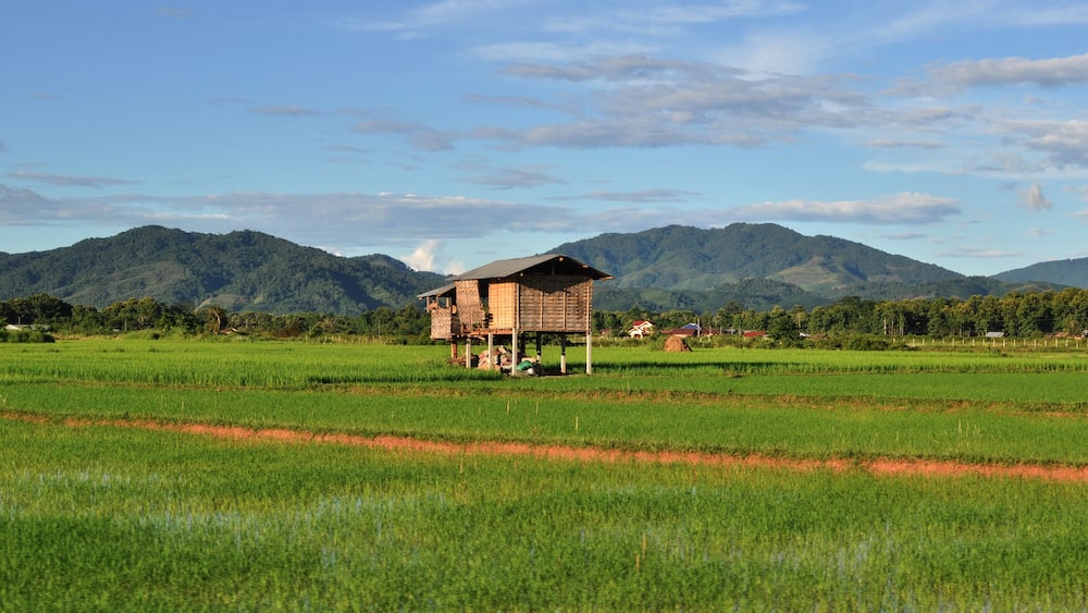 rice fields in Luang Namtha , Laos, Shutterstock ID 142707550, Purchase Order: -