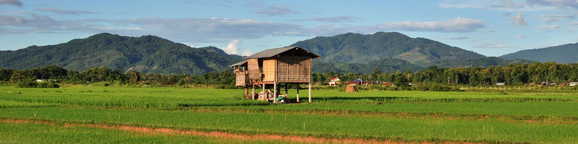 rice fields in Luang Namtha , Laos, Shutterstock ID 142707550, Purchase Order: -