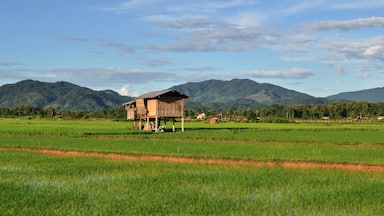A wooden house on stilts in a lush green field with mountains in the background.