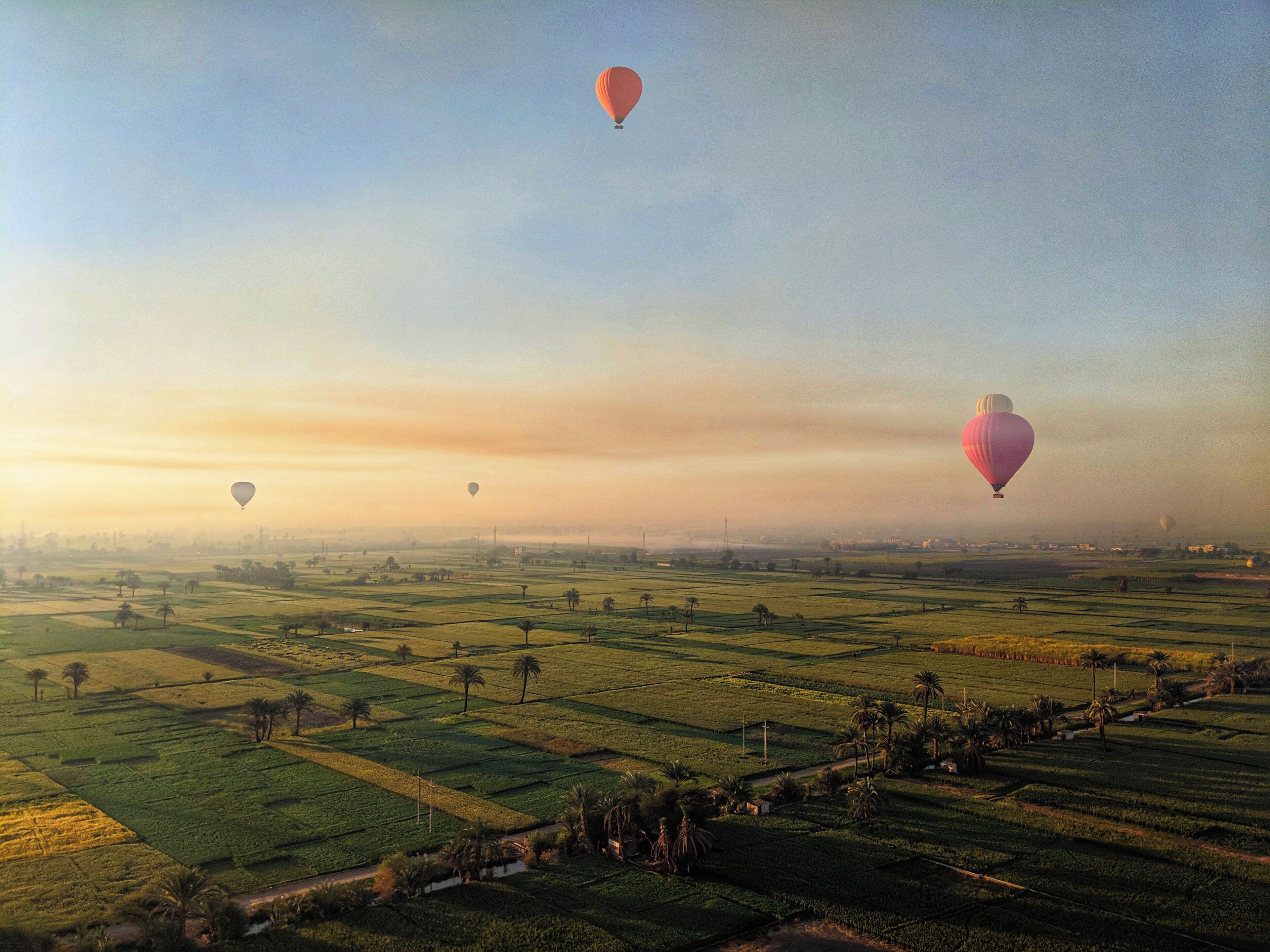 We decided last minute to include a hot air balloon ride in our tour and I'm so glad we did. Not only did we float over Luxor and see the Valley of the Kings, we got a bird's eye view of the Luxor temples
#egypt #egyptian #valleyofthekings #birdseyeview #luxor #beautiful #paradise #traveltheworld #traveltoegypt #travelphotography #travelgram #seetheworld #seenewplaces #wholeworld #foodforward #vacation #vacationvibes #tripofalifetime #spring #springbreak2019 #springbreak #hotairballoon #balloon #morning #explore #exploretheworld