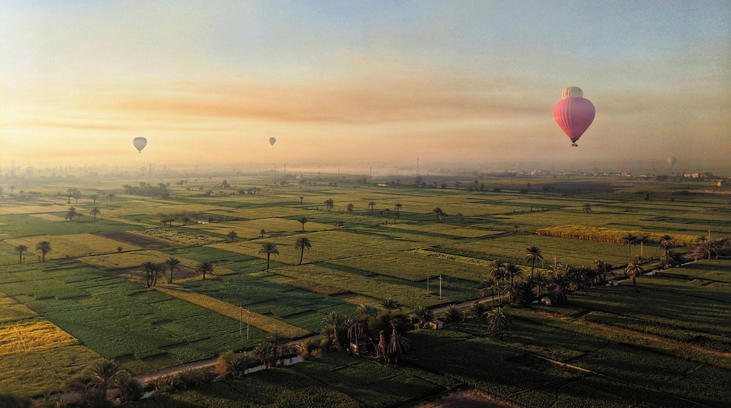 We decided last minute to include a hot air balloon ride in our tour and I'm so glad we did. Not only did we float over Luxor and see the Valley of the Kings, we got a bird's eye view of the Luxor temples
#egypt #egyptian #valleyofthekings #birdseyeview #luxor #beautiful #paradise #traveltheworld #traveltoegypt #travelphotography #travelgram #seetheworld #seenewplaces #wholeworld #foodforward #vacation #vacationvibes #tripofalifetime #spring #springbreak2019 #springbreak #hotairballoon #balloon #morning #explore #exploretheworld