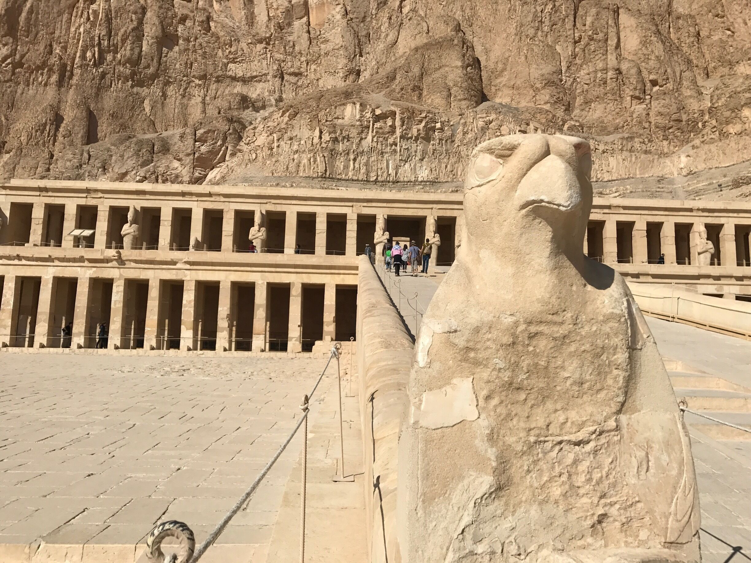 Hatshepsut's Temple dedicated to the sun god Amun - she was the second female pharaoh 
#winterwonders
#lifeatexpedia