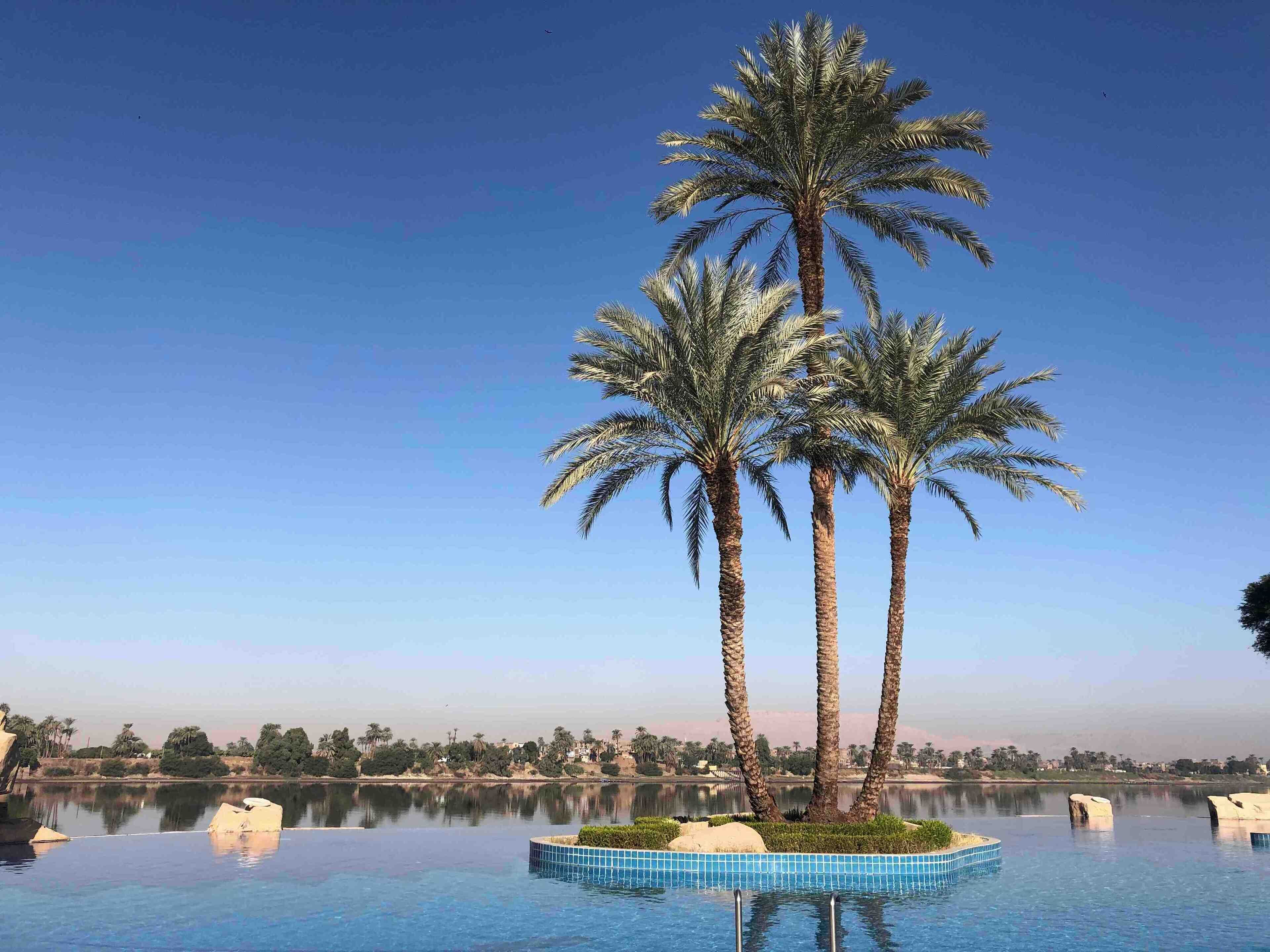 Infinity pool in the hotel with a nice serene view of the Nile