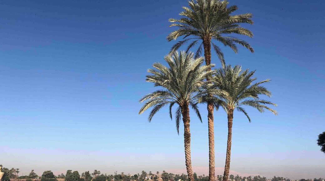 Infinity pool in the hotel with a nice serene view of the Nile
