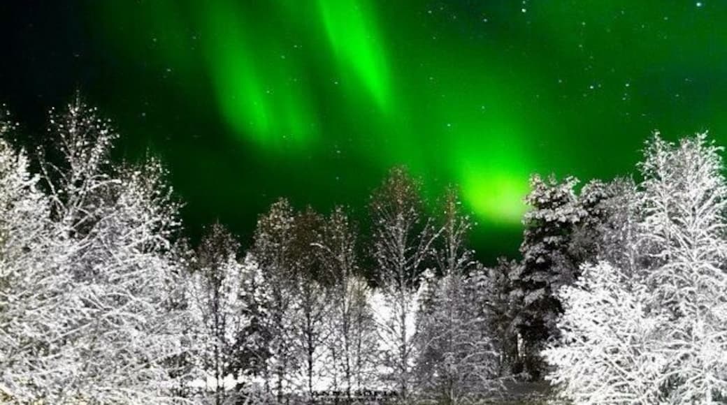 I was in Sweden for the winter and I was lucky enough to capture the northern lights ..