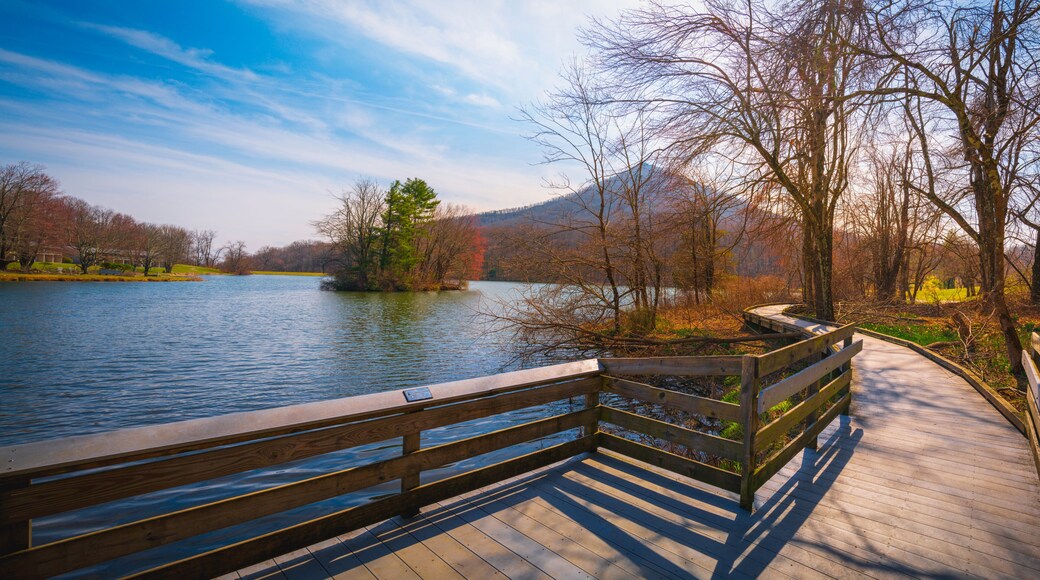 Tranquil spring nature landscape of Blue Ridge Mountains and Peaks of Otter Lake on the Blue Ridge Parkway in Bedford, Virginia, USA, boardwalk footpath, green and res sprouts and water reflections