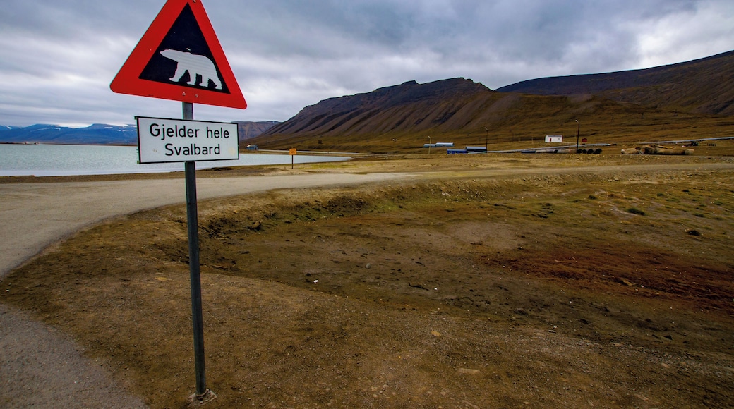Beware of Polar Bears. Don't pass here without protection.