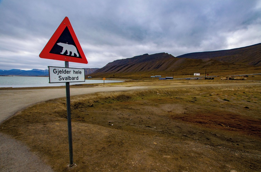 Beware of Polar Bears. Don't pass here without protection.