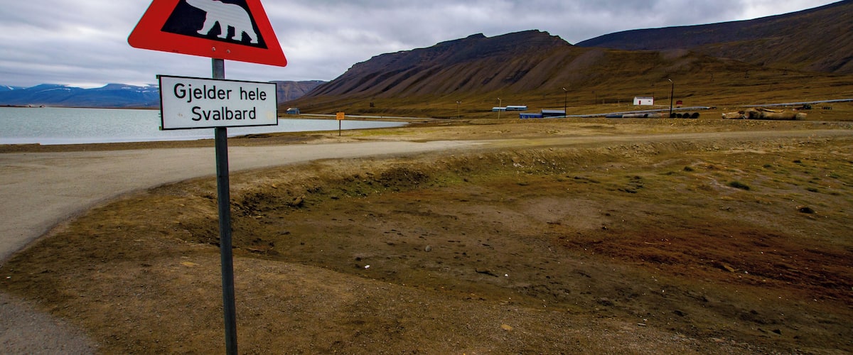 A polar bear warning sign near a road with a mountainous landscape in the background.