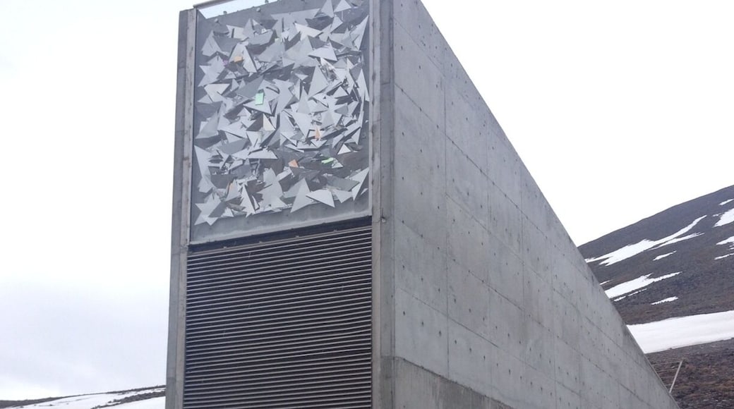 The Svalbard Global Seed Vault is a secure seedbank located on the Norwegian island of Spitsbergen near the town of Longyearbyen in the remote Arctic Svalbard archipelago, about 1,300 kilometres (810 mi) from the North Pole. The seed vault is an attempt to provide insurance against the loss of seeds in genebanks, as well as a refuge for seeds in the case of large-scale regional or global crises.