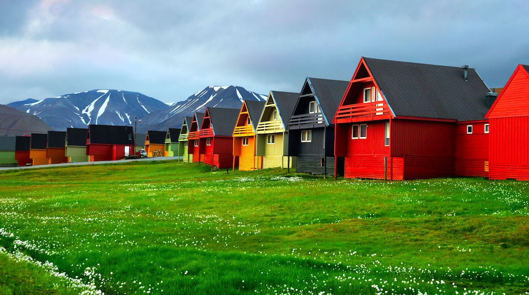 Idyllic scenic view, colorful houses and green field with arctic flowers against the background of dramatic sky and barren mountain in Longyearbyen, Spitsbergen archipelago (Svalbard), Norway, Europe