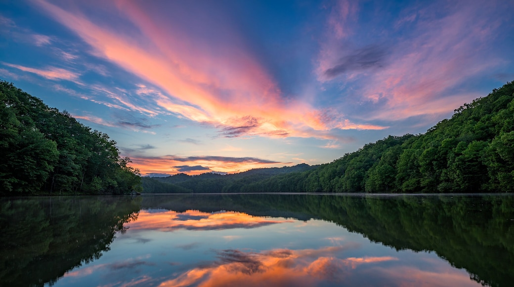 A calm lake with a reflection of the sky, surrounded by dense forest.