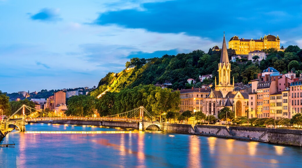 Metrópole de Lyon