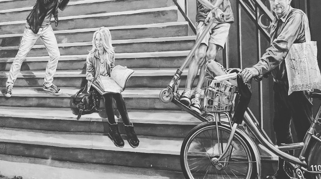 Le Mur des Canuts, Lyon