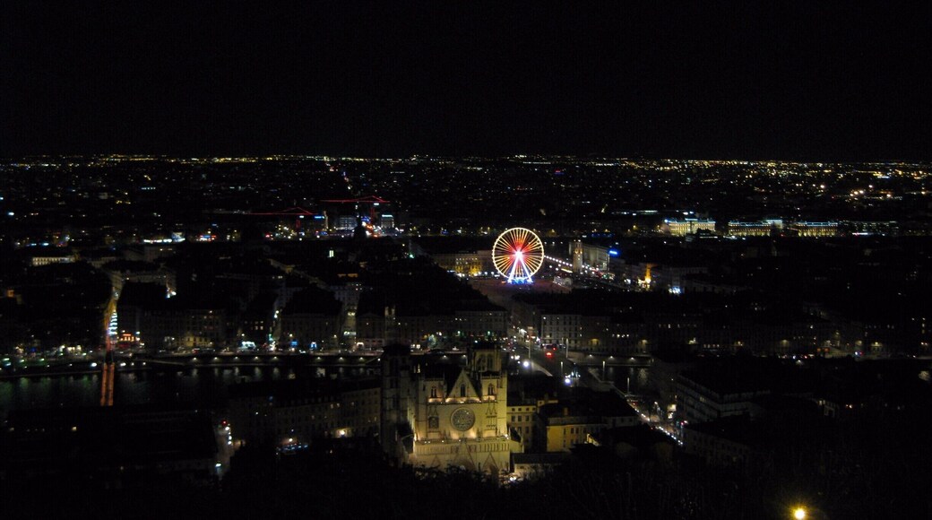 View of the city of Lyon
-2015