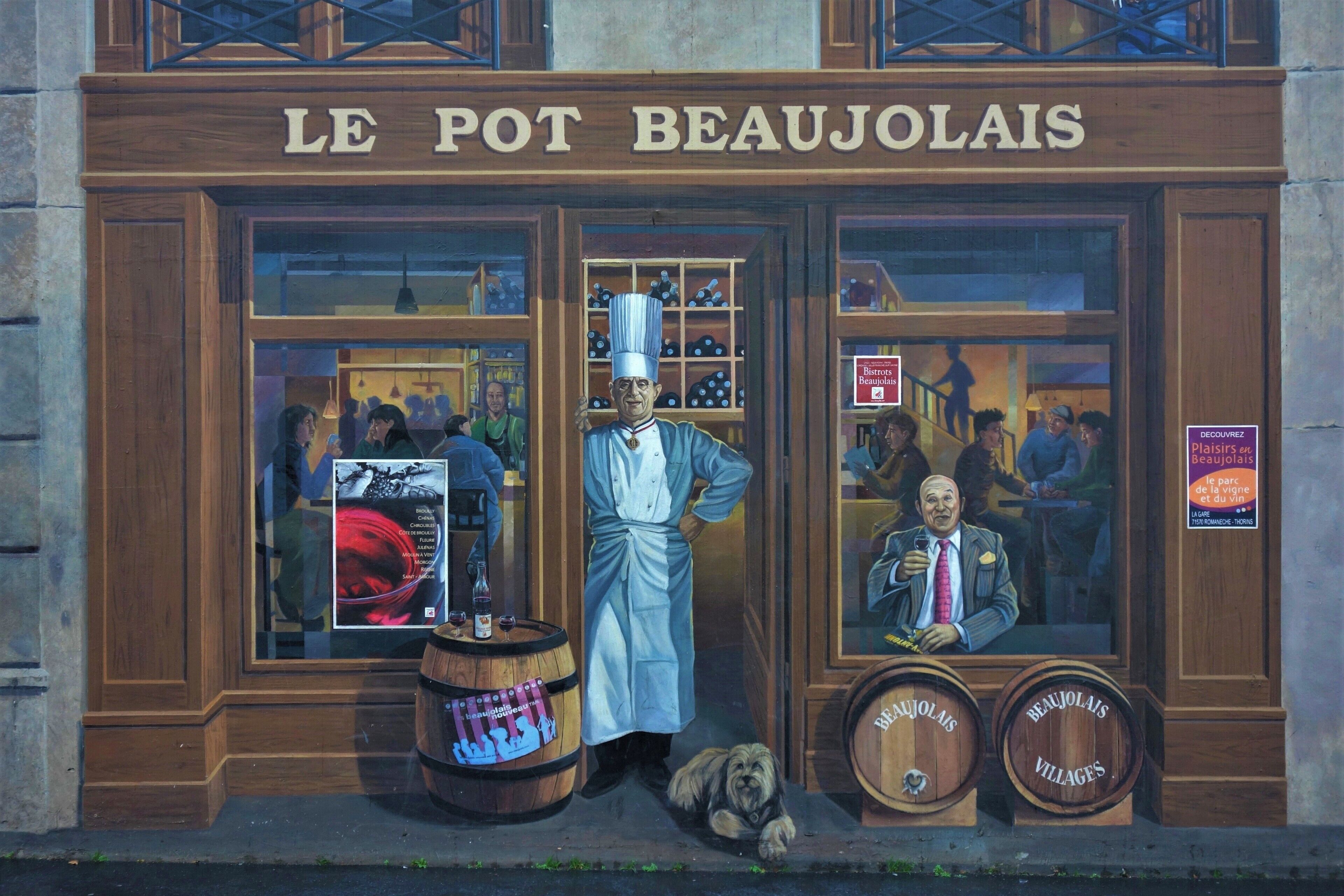 Lyon, France's second largest city, is the European capital of mural paintings, and is one of the top five cities in the world in terms of the number of murals. There are over 150 giant murals on walls all over Lyon. "Le Pot Beaujolais" is one of many wall frescoes by 'Cité de la Creation', a group that has been commissioned to paint wall murals for other cities in France, Germany, Portugal, Spain, Canada, Mexico, and Israel.  #DiscoverLyon  #mural