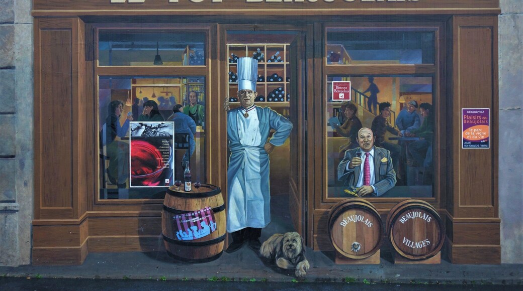 Lyon, France's second largest city, is the European capital of mural paintings, and is one of the top five cities in the world in terms of the number of murals. There are over 150 giant murals on walls all over Lyon. "Le Pot Beaujolais" is one of many wall frescoes by 'Cité de la Creation', a group that has been commissioned to paint wall murals for other cities in France, Germany, Portugal, Spain, Canada, Mexico, and Israel. #DiscoverLyon #mural