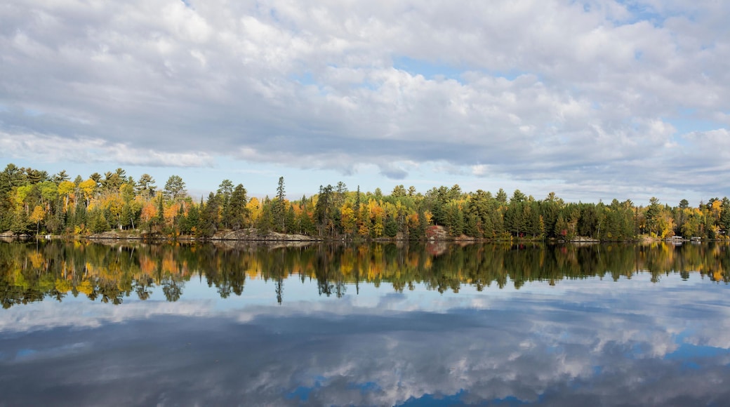 HM6T3R Scenic view of trees and cloudy sky reflecting on calm lake during autumn