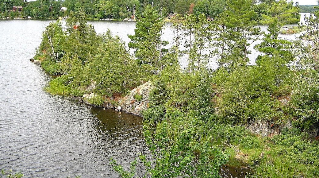 This was a really cool walk out...