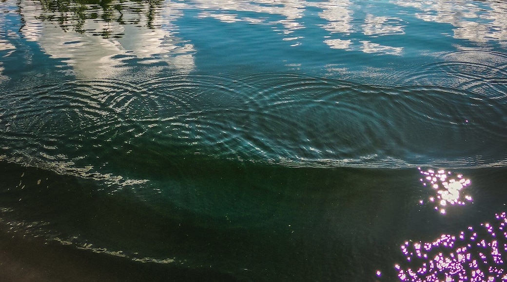 When you spend everyday in a canoe under the hot sun ... eventually your sunburn starts to get sunburnt ... yet you still can't resist stopping to marvel at how beautiful the untouched land is. #adventure
