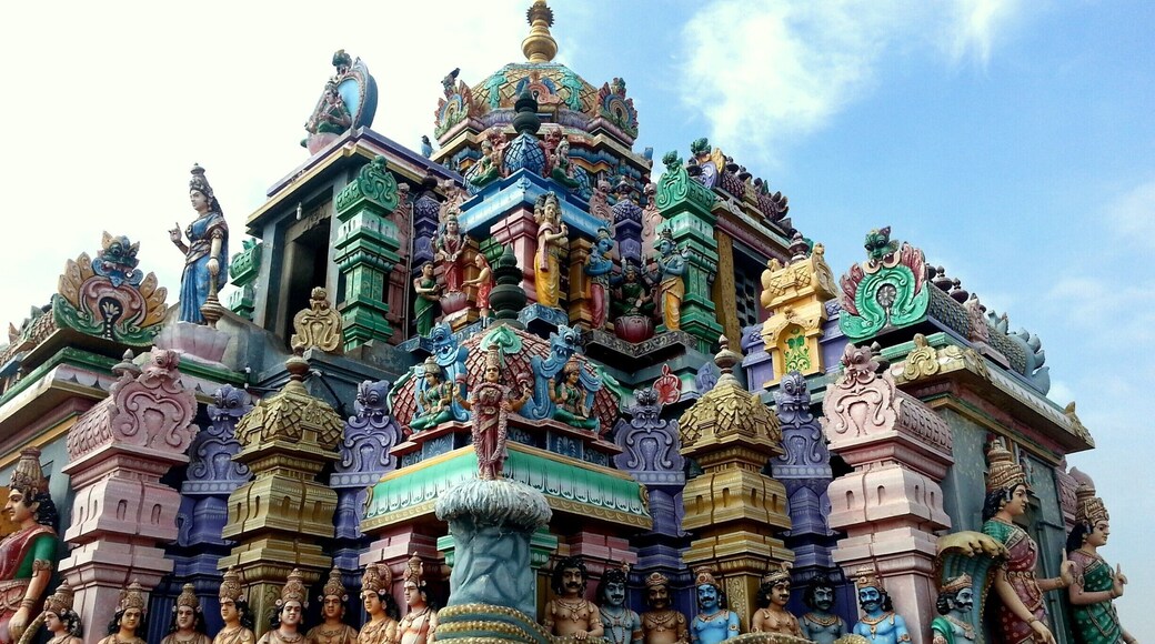 The beautiful 'gopuram' (tower) of the Ashtalakshmi Temple in Chennai, India.
Indian Hindu Gods and Goddesses meticulously sculpted. Note the large snake which they are holding across them.
read more on my blog
https://theredbagandpurpleshoes.wordpress.com/2015/01/14/iconic-temples-of-chennai/