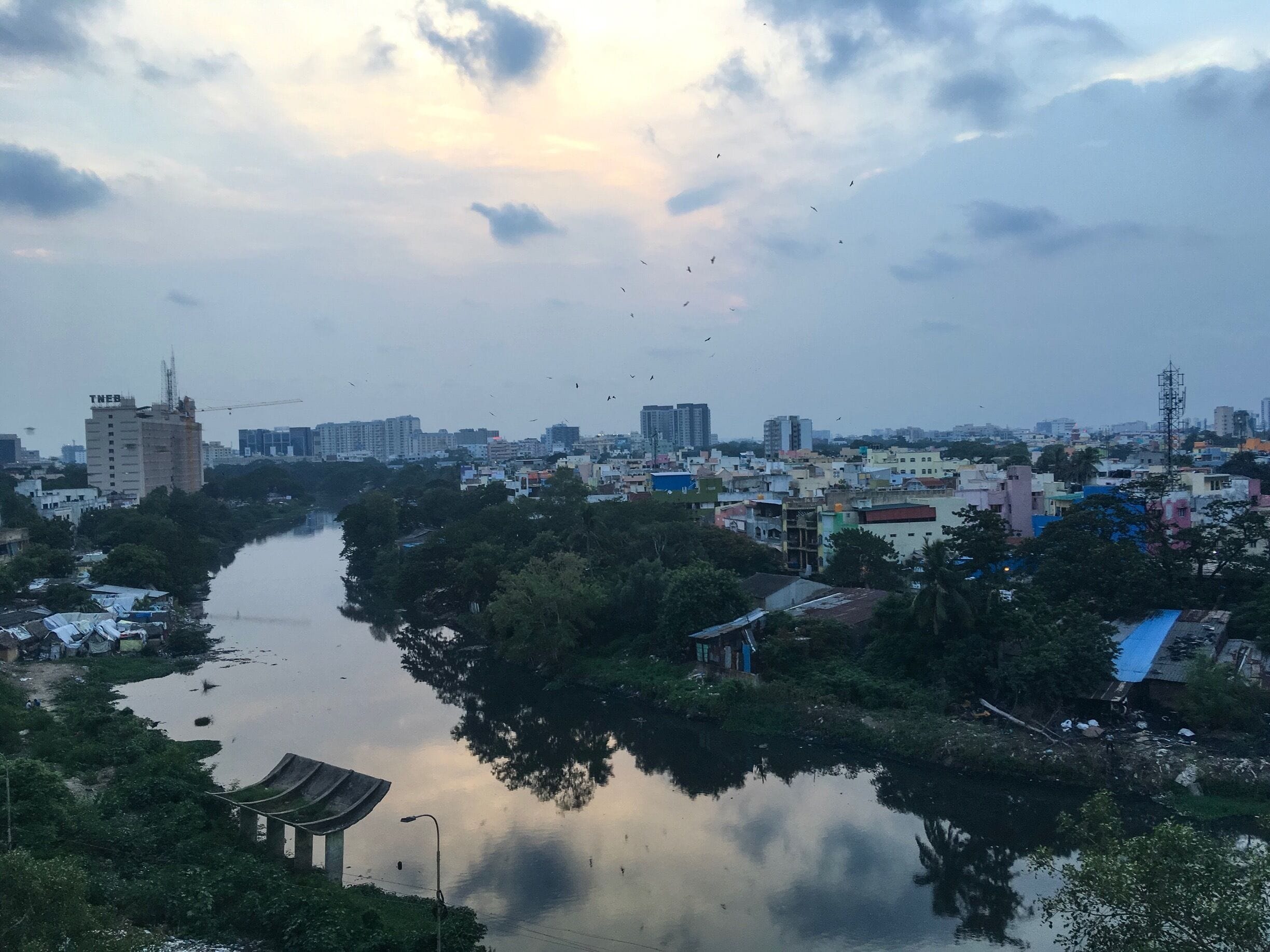 A river showcasing the truth of the concrete world! #UrbanJungle