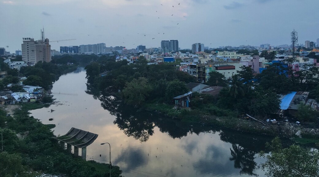 A river showcasing the truth of the concrete world! #UrbanJungle