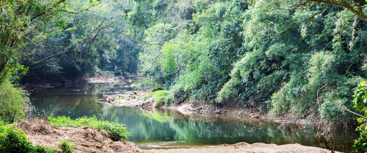 A river surrounded by dense green foliage and rocky terrain.