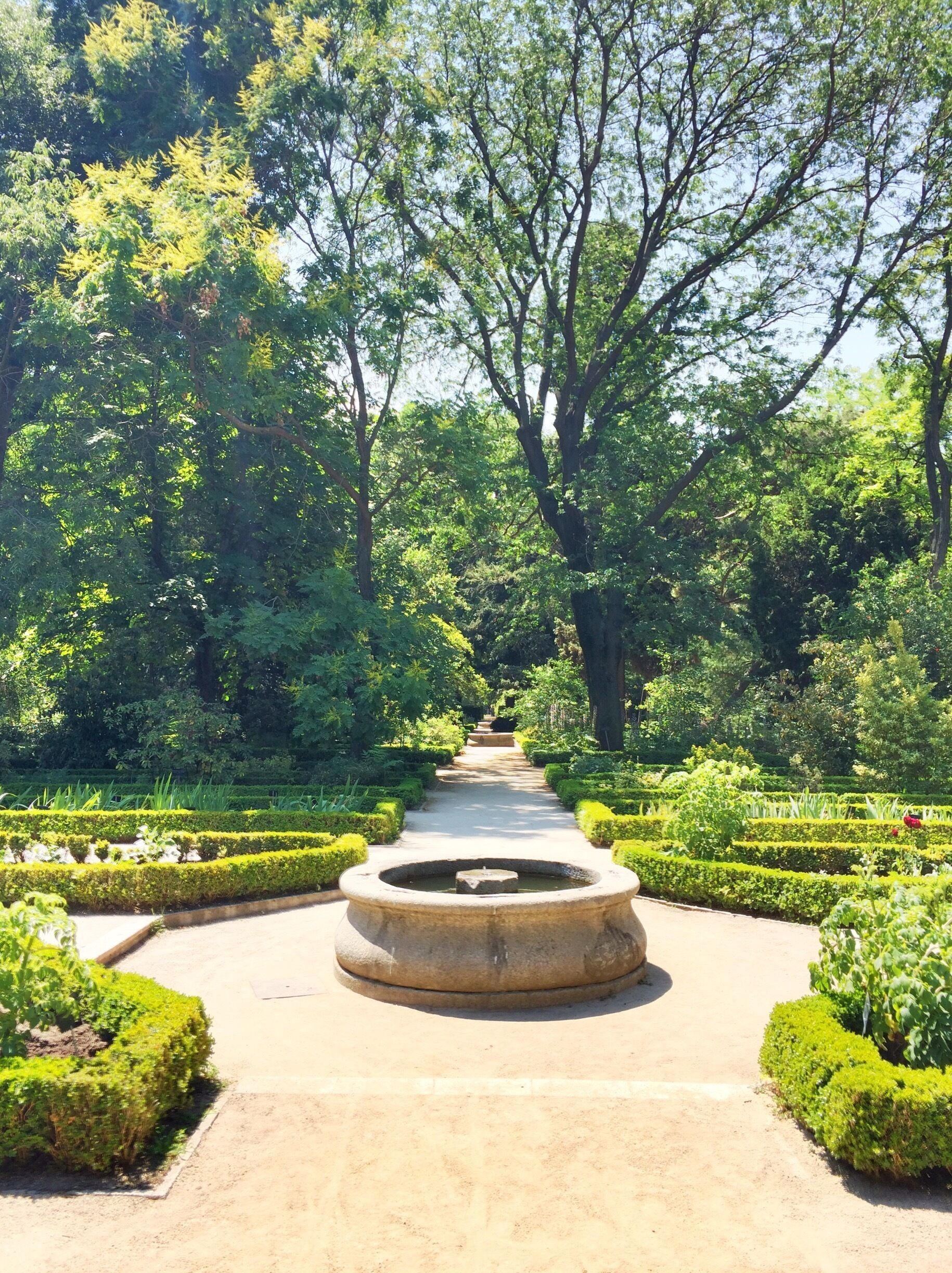 It took me three visits to Madrid to finally make it to the Reales Járdines Botánicos, and it was definitely worth it. 
€3 entry for the public, €1.50 for students. Just like the Parque del Retiro, these gardens provide a calmer getaway from the noisier and consistently busy Paseo del Prado. 
It was so lovely to be surrounded by so much greenery, and the trickle of the fountains adds an additional serene note, not unlike the gardens at the Reales Alcázares de Sevilla (Game of Thrones water gardens, anyone?) and the Generalife and the Palacios Nazaríes at the Alhambra in Granada. 
On a hotter day especially, like the day I finally visited these gardens, the ample shade from the trees is an added bonus.