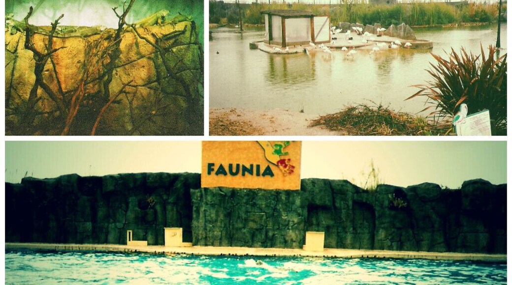 #Faunia is a botanical garden and zoo in #Madrid, #Spain. It's organized into areas representing different ecosystems such as jungle, poles, or African forest.