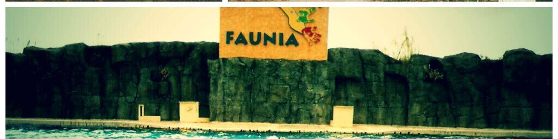 #Faunia is a botanical garden and zoo in #Madrid, #Spain. It's organized into areas representing different ecosystems such as jungle, poles, or African forest.