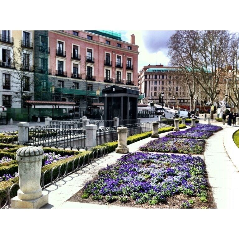 Área Metropolitana y Corredor del Henares