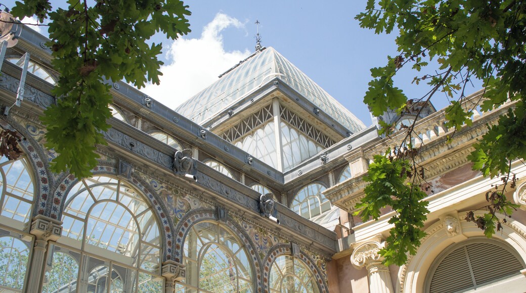 The Crystal Palace in the Retiro Park is an open exhibition place, and the building itself is like a piece of art. There is a pond in front of the palace that has a large community of turtles to admire.