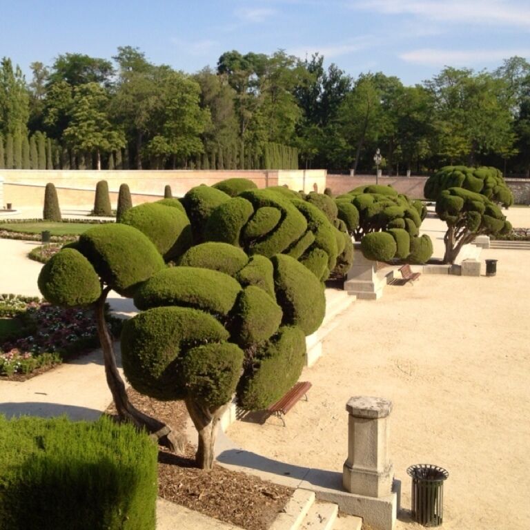 Área Metropolitana y Corredor del Henares