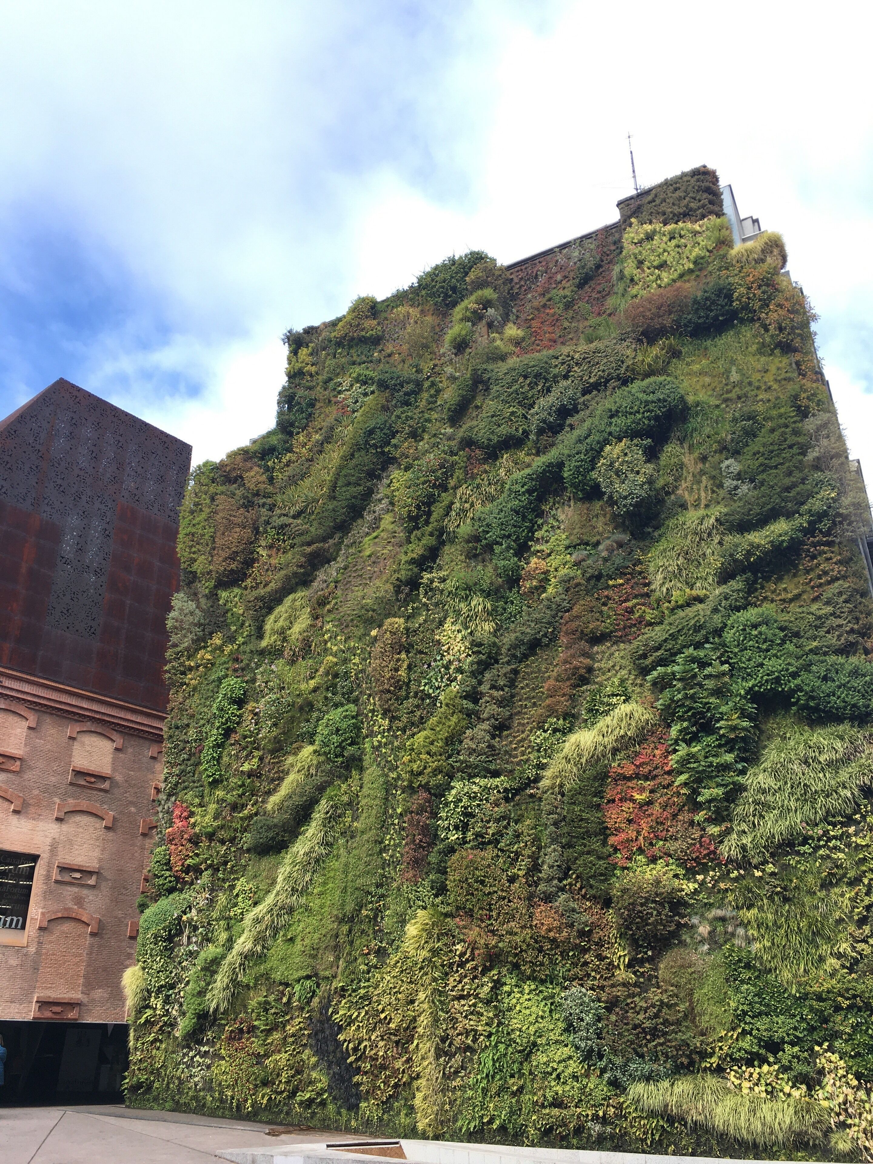 A gallery which is as impressive on the outside as the inside. The exhibitions here seem to err on the abstract and contemporary, so it might not be the favourite place of more traditional art lovers, but do take a stroll past to admire this architectural greenery even if you don’t go inside. They’re real plants embedded into soil along the wall!
#Trovember