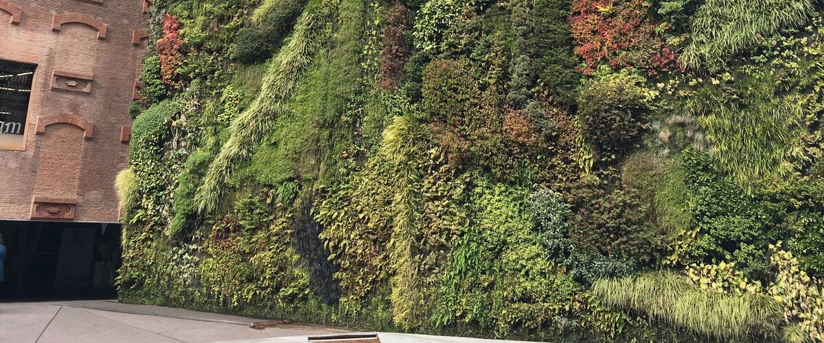 A gallery which is as impressive on the outside as the inside. The exhibitions here seem to err on the abstract and contemporary, so it might not be the favourite place of more traditional art lovers, but do take a stroll past to admire this architectural greenery even if you don’t go inside. They’re real plants embedded into soil along the wall!
#Trovember