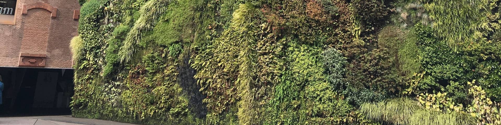 A gallery which is as impressive on the outside as the inside. The exhibitions here seem to err on the abstract and contemporary, so it might not be the favourite place of more traditional art lovers, but do take a stroll past to admire this architectural greenery even if you don’t go inside. They’re real plants embedded into soil along the wall!
#Trovember