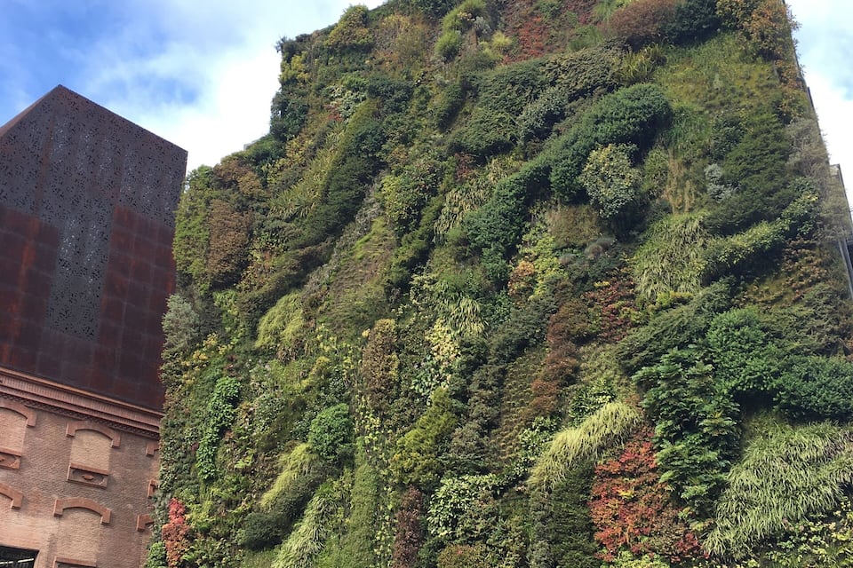 A building with a vertical garden facade.