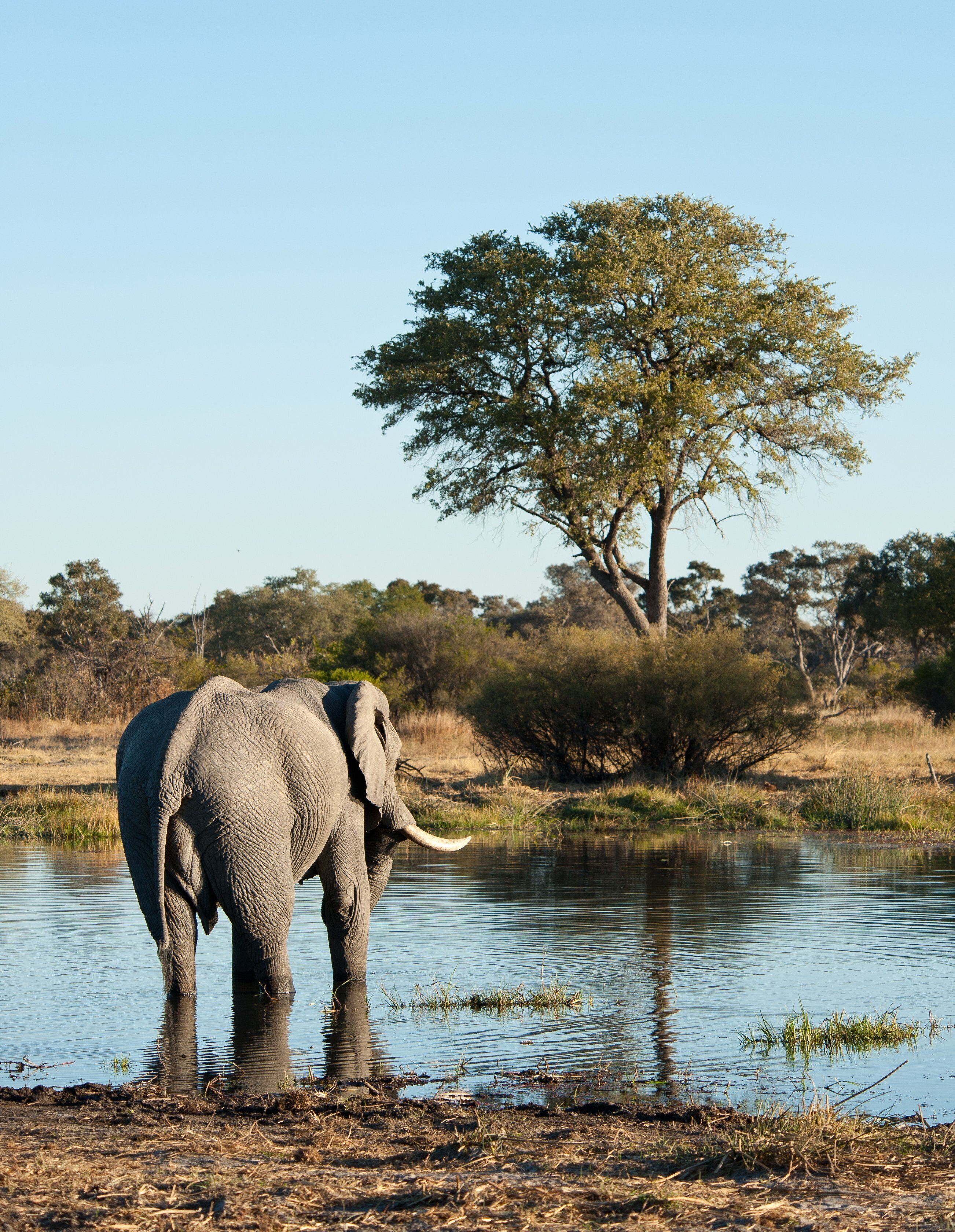 0_dba93199-b07f-41e9-a861-20f7901231c0_raw