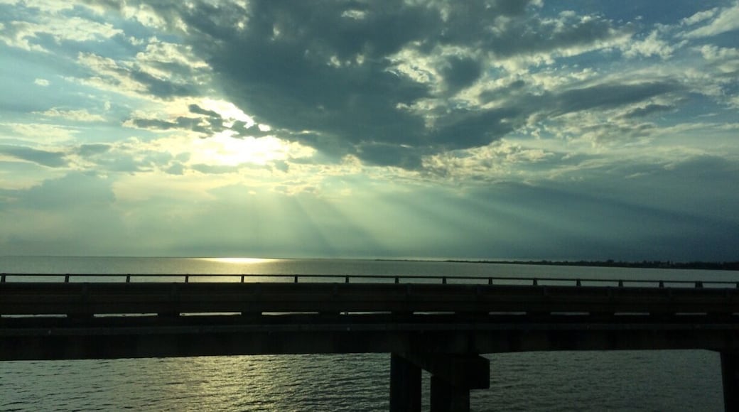 A shot from the Causeway Bridge.
