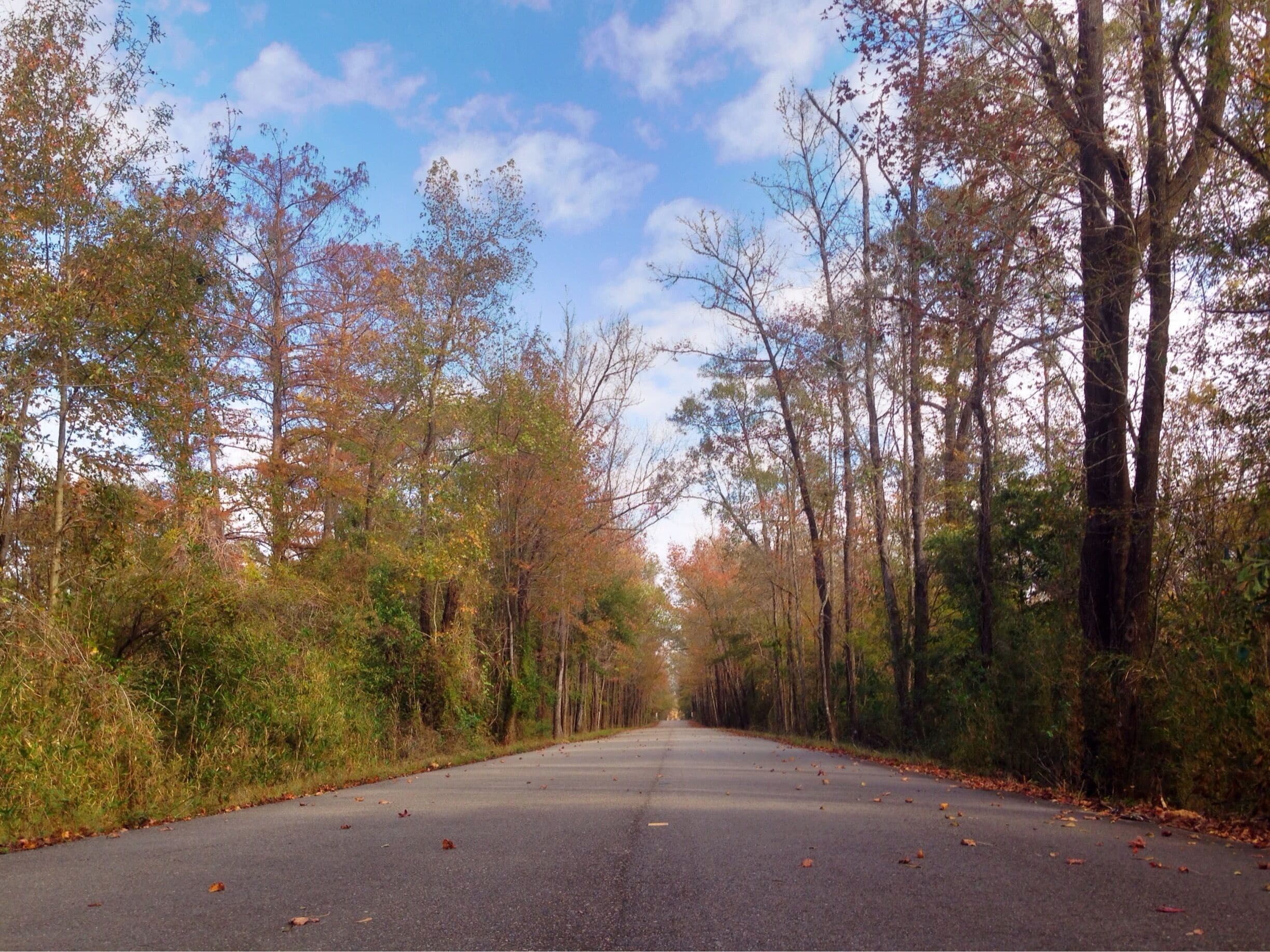 Thankful for unexpected detours down the beautiful back roads of Louisiana #travel