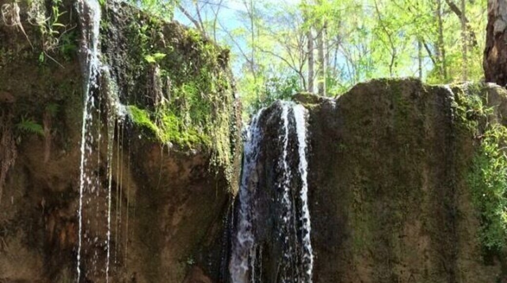 Awesome hiking experience in Louisiana filled with water falls!