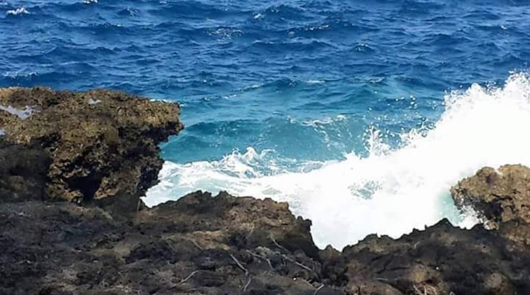 I am not sure if I want to be like these rocks. Very strong, but daily rapids, violent waves hit and splash on them while exposed to the heat of sun and strong winds.