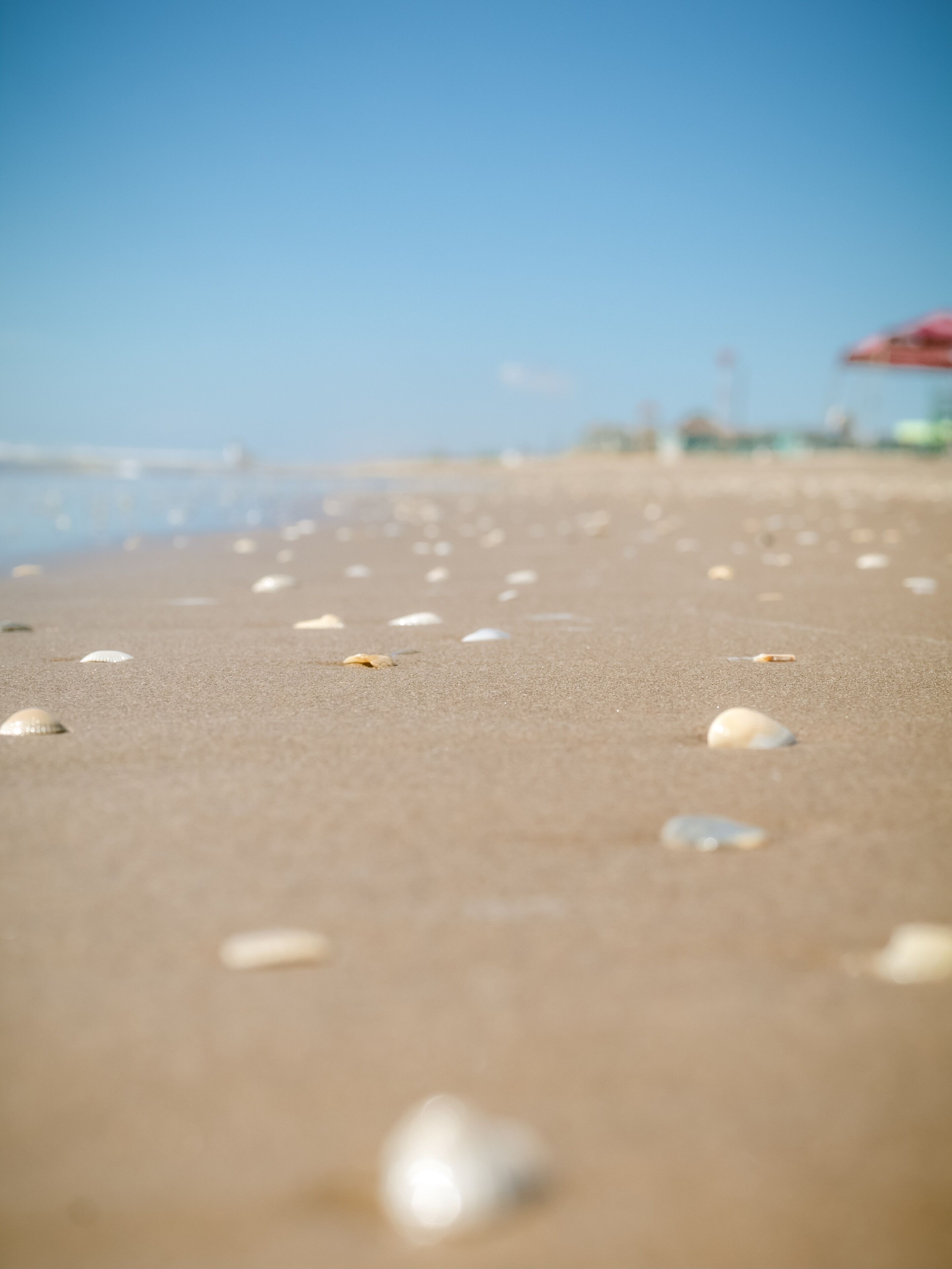 A beach with scattered seashells and a red umbrella in the distance.
