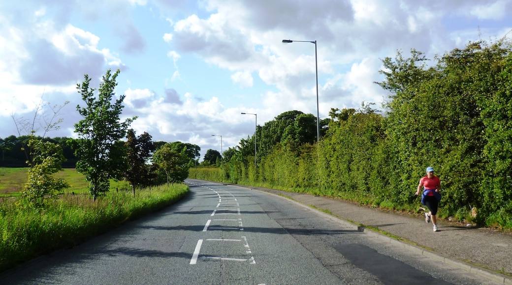 Ringley Road - Stand