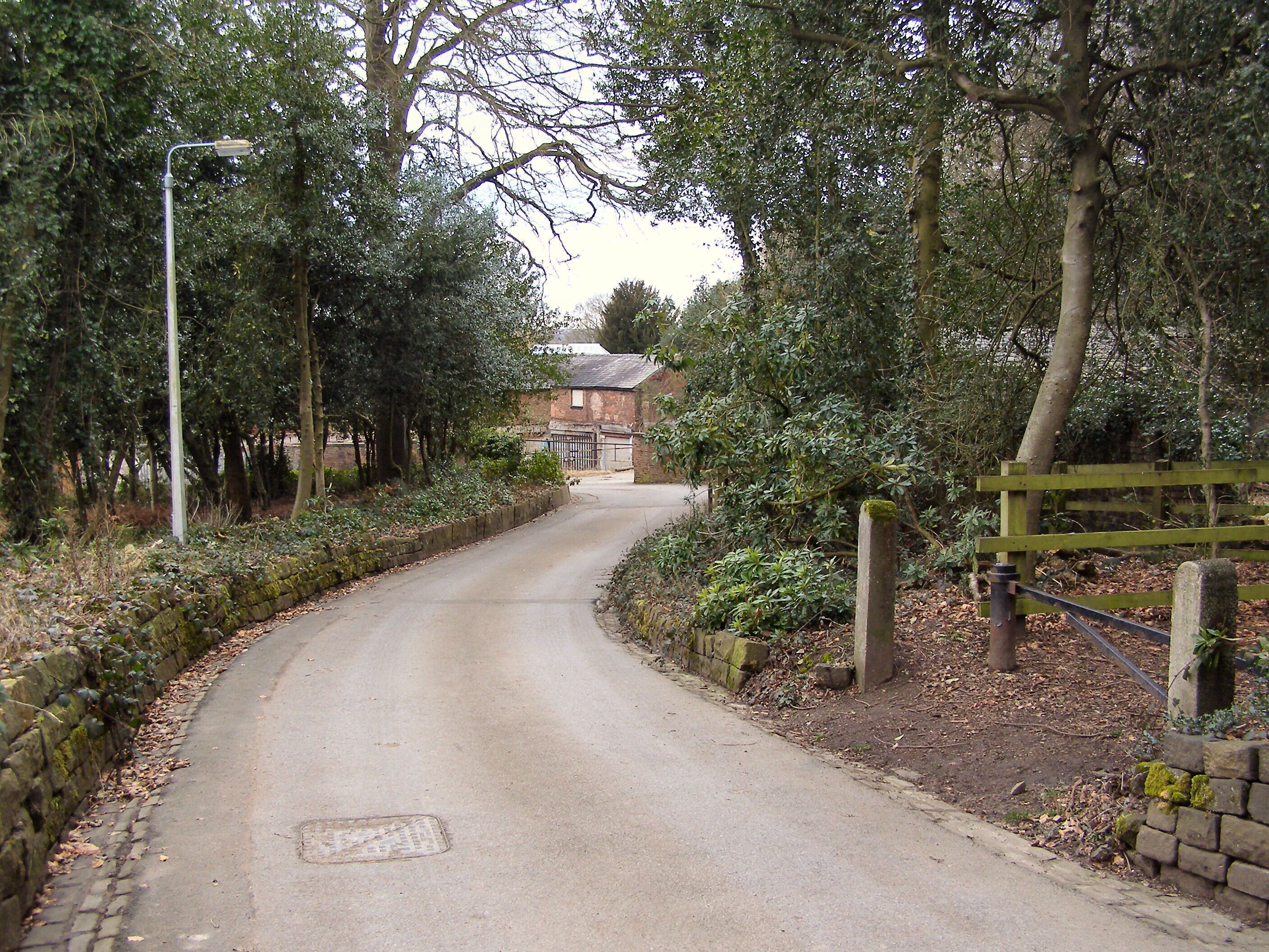 A narrow, tree-lined road curving through a rural area with a stone wall on one side and a wooden gate on the other.
